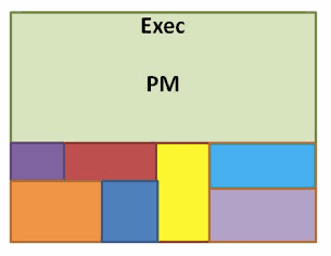 PM Strategic Project